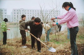 植樹綠化，重在管理——論綠化管理的核心價(jià)值與實(shí)踐路徑