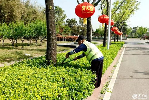 臨沭縣 以精細(xì)化綠化管理為抓手，全面提升城市治理水平